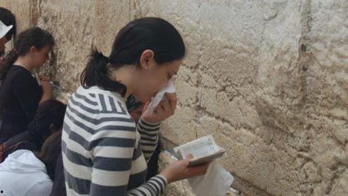 娱乐吃瓜君白鹿,娱乐吃瓜君的甜蜜蜕变之旅  第2张 娱乐吃瓜君白鹿,娱乐吃瓜君的甜蜜蜕变之旅  第2张