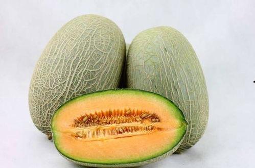 老头吃哈密瓜视频大全免费观看,老头吃哈密瓜视频大全,欢乐时光尽在此处  第2张 老头吃哈密瓜视频大全免费观看,老头吃哈密瓜视频大全,欢乐时光尽在此处  第2张