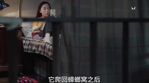 谁爆料柿子姐的视频播放  第3张 谁爆料柿子姐的视频播放  第3张