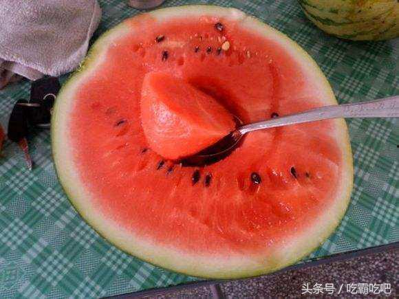 吃瓜网友全集免费观看,全网热议!揭秘“吃瓜网友全集免费观看”背后的真相  第3张 吃瓜网友全集免费观看,全网热议!揭秘“吃瓜网友全集免费观看”背后的真相  第3张