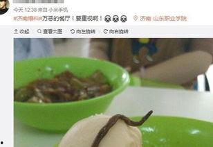 最新新康饭菜爆料图片,最新爆料图片曝光,美味与营养并存!”  第2张 最新新康饭菜爆料图片,最新爆料图片曝光,美味与营养并存!”  第2张