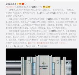 临沂最新爆料,揭秘神秘事件背后的真相  第2张 临沂最新爆料,揭秘神秘事件背后的真相  第2张