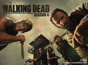 危机四伏电影在线观看,揭秘电影在线观看背后的惊险旅程  第2张 危机四伏电影在线观看,揭秘电影在线观看背后的惊险旅程  第2张