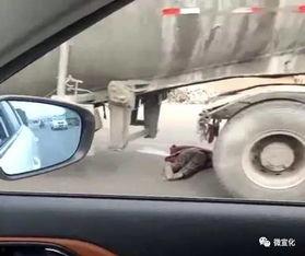 河南车友爆料视频最新版  第3张 河南车友爆料视频最新版  第3张