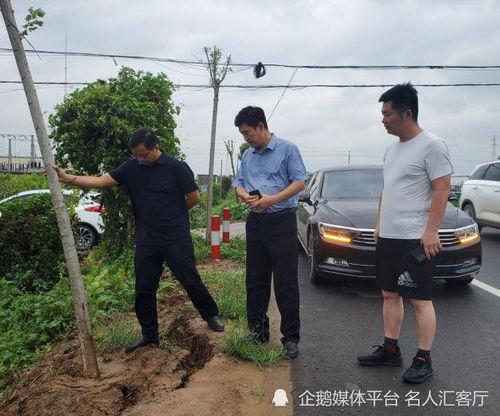 杞县圉镇车祸最新爆料,悲剧现场细节披露,伤亡情况引关注  第2张 杞县圉镇车祸最新爆料,悲剧现场细节披露,伤亡情况引关注  第2张