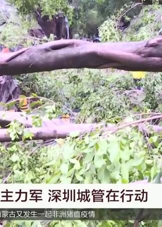 山竹爆料深圳视频,深圳幕后真相大曝光  第3张 山竹爆料深圳视频,深圳幕后真相大曝光  第3张